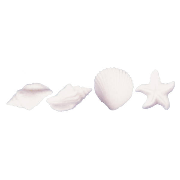 Seashell Assorted Dec-ons
