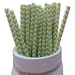 Lime Green Chevron Paper Straws